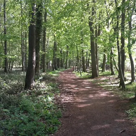 Wellness No 9 Kellenhusen