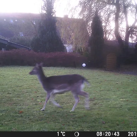 Wellness No 9 Tatil Evi *