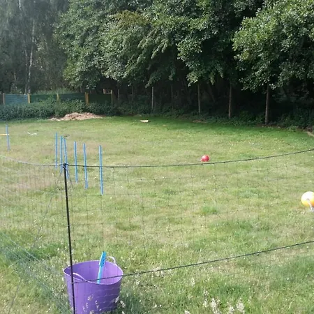 Tatil Evi Wellness No 9 *