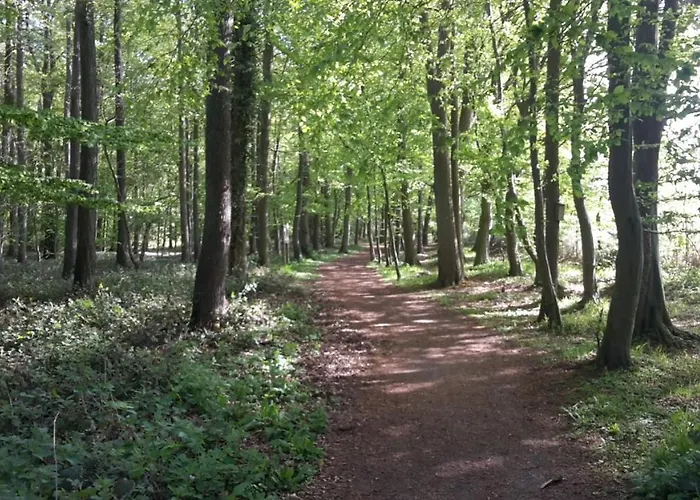 Wellness No 9 Kellenhusen