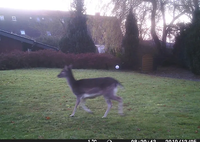 Wellness No 9 Casa de Férias *